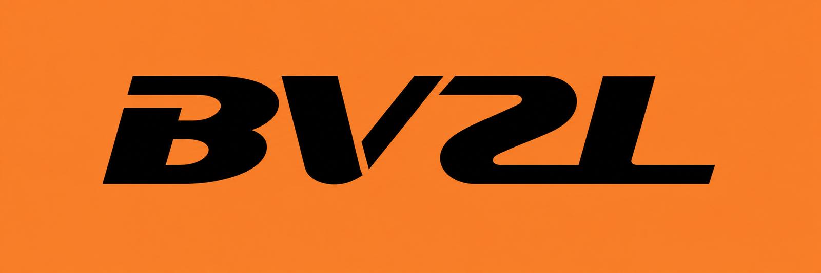 BVZL Boats